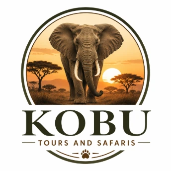 Kobu Tours Company